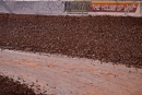 A look at the surface at Whynot Motorsports Park in Meridian, Miss., ahead of Saturday&#039;s Coors Light Fall Classic. (Zackary Washington/Simple Moments Photography)